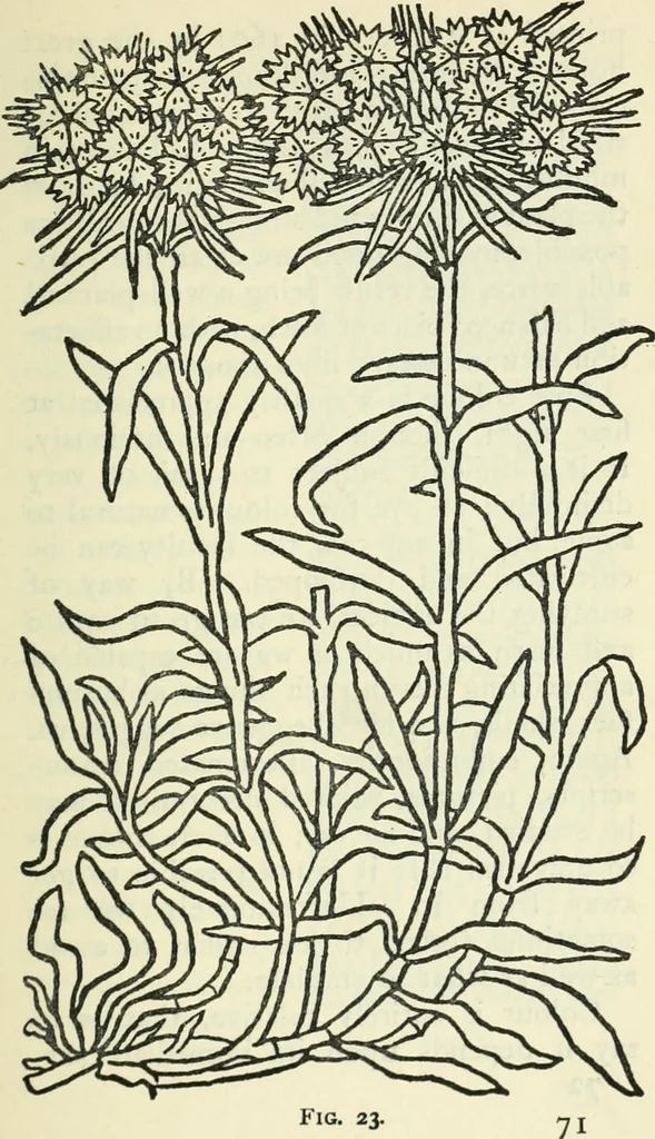 An illustration from Embroidery and tapestry weaving : a practical text-book of design and workmanship, 1912, leaf 74