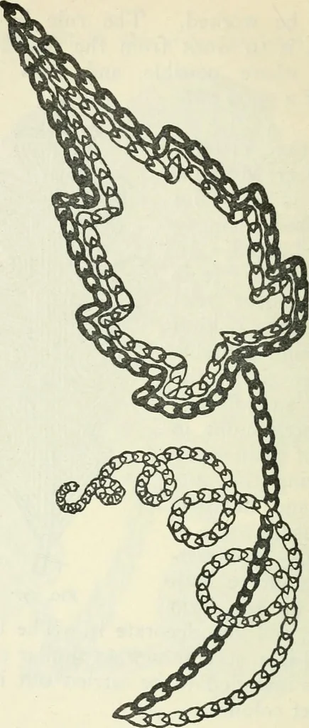 An illustration from Embroidery and tapestry weaving : a practical text-book of design and workmanship, 1912, leaf 85