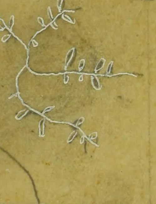 An illustration from [Embroidery and textile designs, 1875, leaf 10
