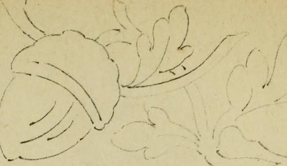 An illustration from [Embroidery and textile designs, 1875, leaf 125