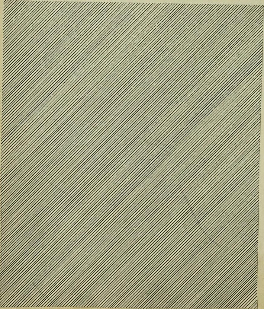 An illustration from [Embroidery and textile designs, 1875, leaf 204