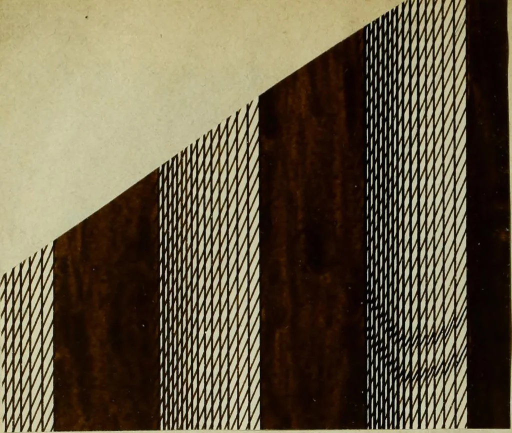 An illustration from [Embroidery and textile designs, 1875, leaf 210