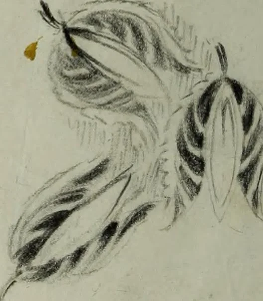 An illustration from [Embroidery and textile designs, 1875, leaf 220