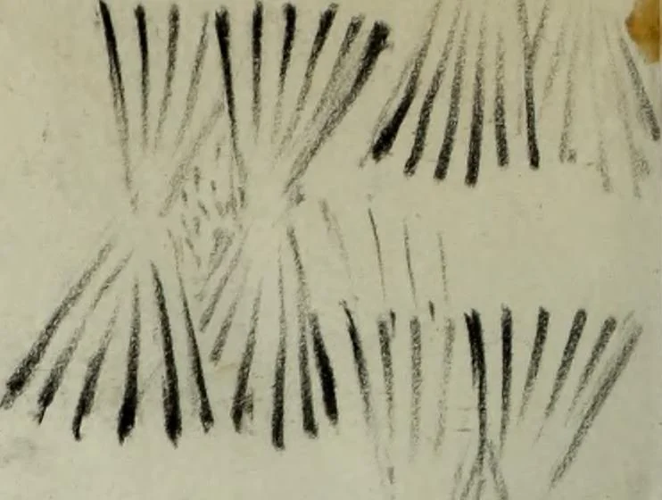 An illustration from [Embroidery and textile designs, 1875, leaf 222