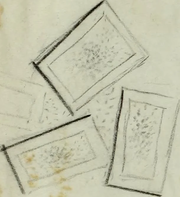 An illustration from [Embroidery and textile designs, 1875, leaf 222