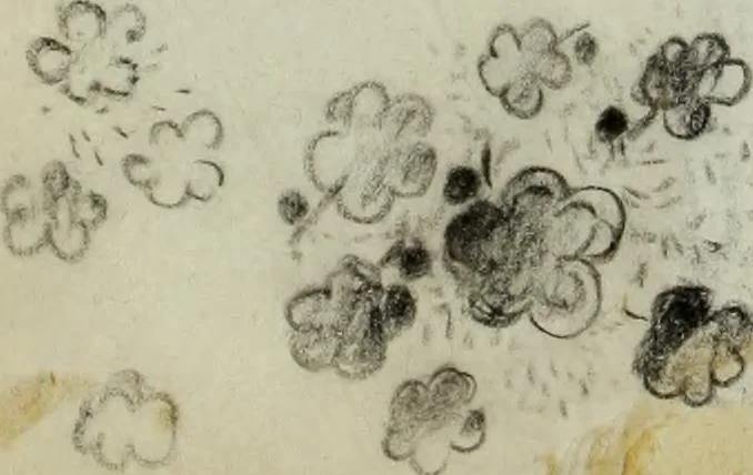 An illustration from [Embroidery and textile designs, 1875, leaf 222