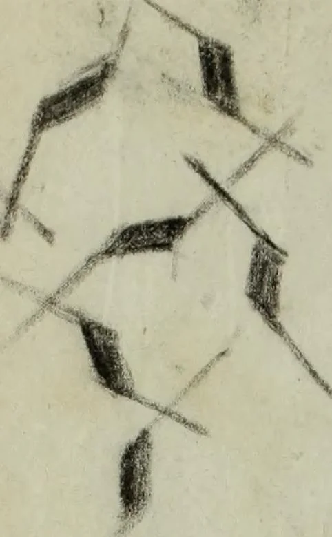 An illustration from [Embroidery and textile designs, 1875, leaf 224