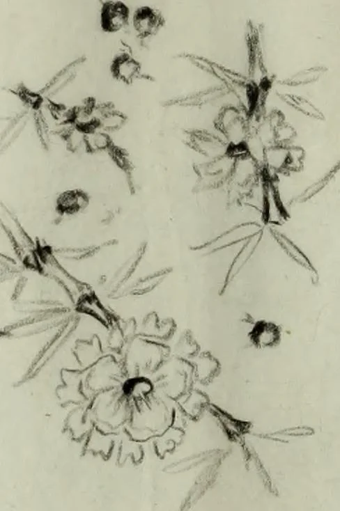 An illustration from [Embroidery and textile designs, 1875, leaf 226