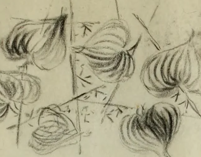 An illustration from [Embroidery and textile designs, 1875, leaf 227