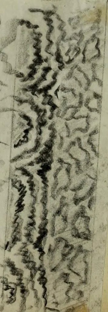 An illustration from [Embroidery and textile designs, 1875, leaf 232