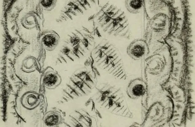 An illustration from [Embroidery and textile designs, 1875, leaf 235
