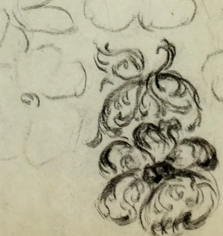 An illustration from [Embroidery and textile designs, 1875, leaf 235