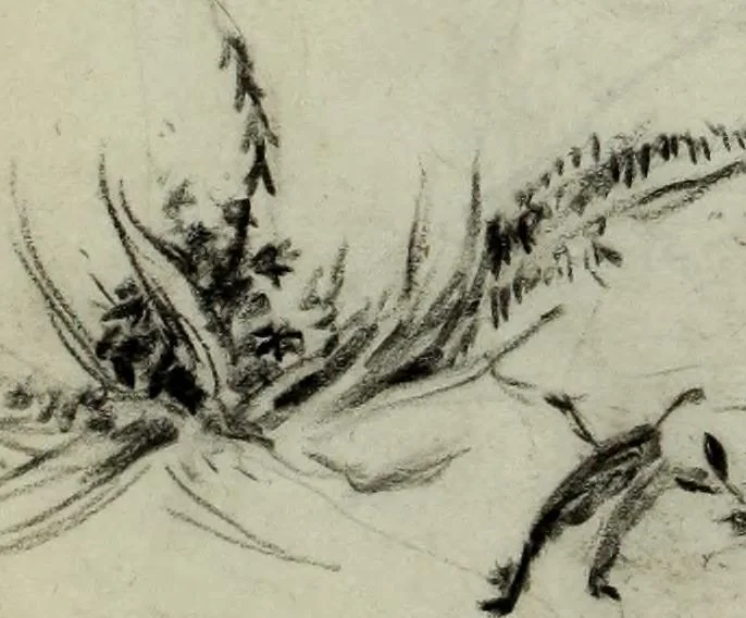 An illustration from [Embroidery and textile designs, 1875, leaf 236
