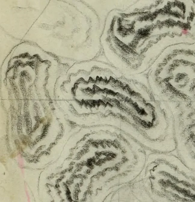 An illustration from [Embroidery and textile designs, 1875, leaf 238