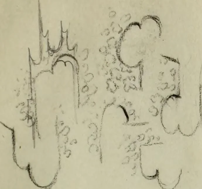 An illustration from [Embroidery and textile designs, 1875, leaf 241