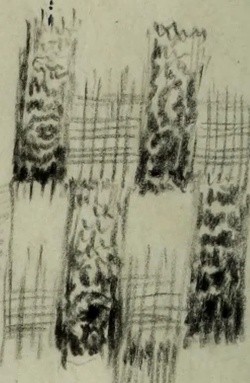 An illustration from [Embroidery and textile designs, 1875, leaf 242