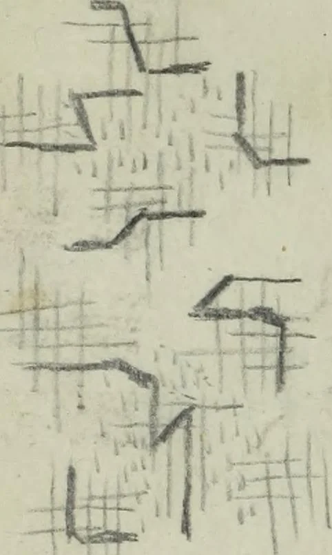 An illustration from [Embroidery and textile designs, 1875, leaf 242