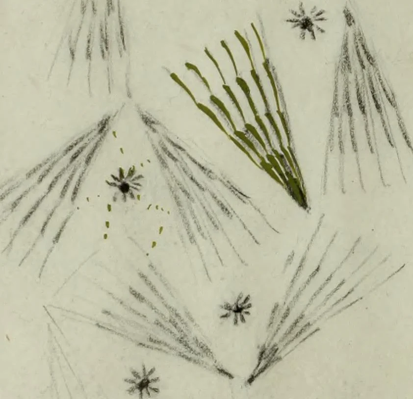 An illustration from [Embroidery and textile designs, 1875, leaf 242