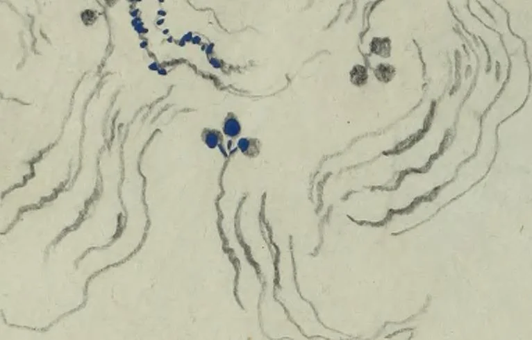 An illustration from [Embroidery and textile designs, 1875, leaf 244