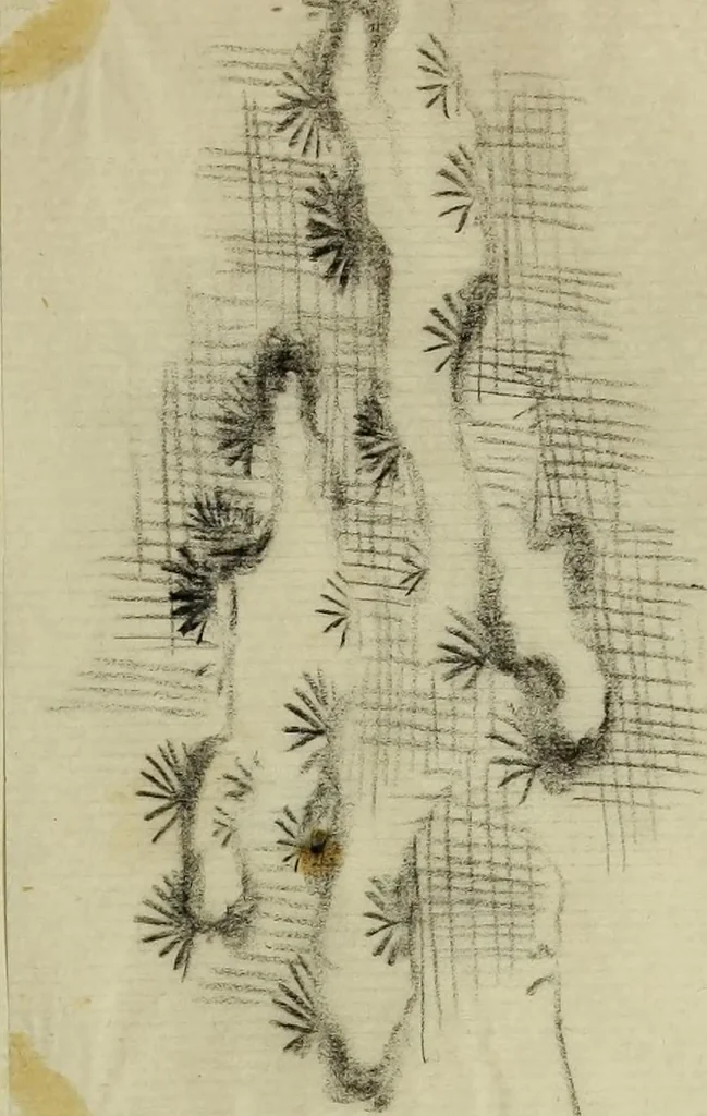 An illustration from [Embroidery and textile designs, 1875, leaf 247