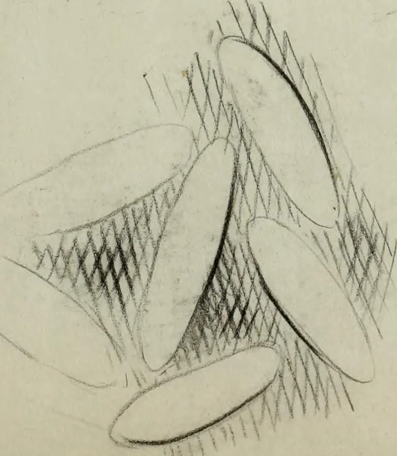 An illustration from [Embroidery and textile designs, 1875, leaf 249