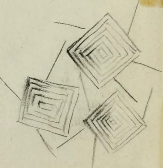 An illustration from [Embroidery and textile designs, 1875, leaf 249