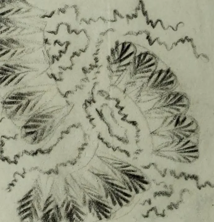 An illustration from [Embroidery and textile designs, 1875, leaf 256