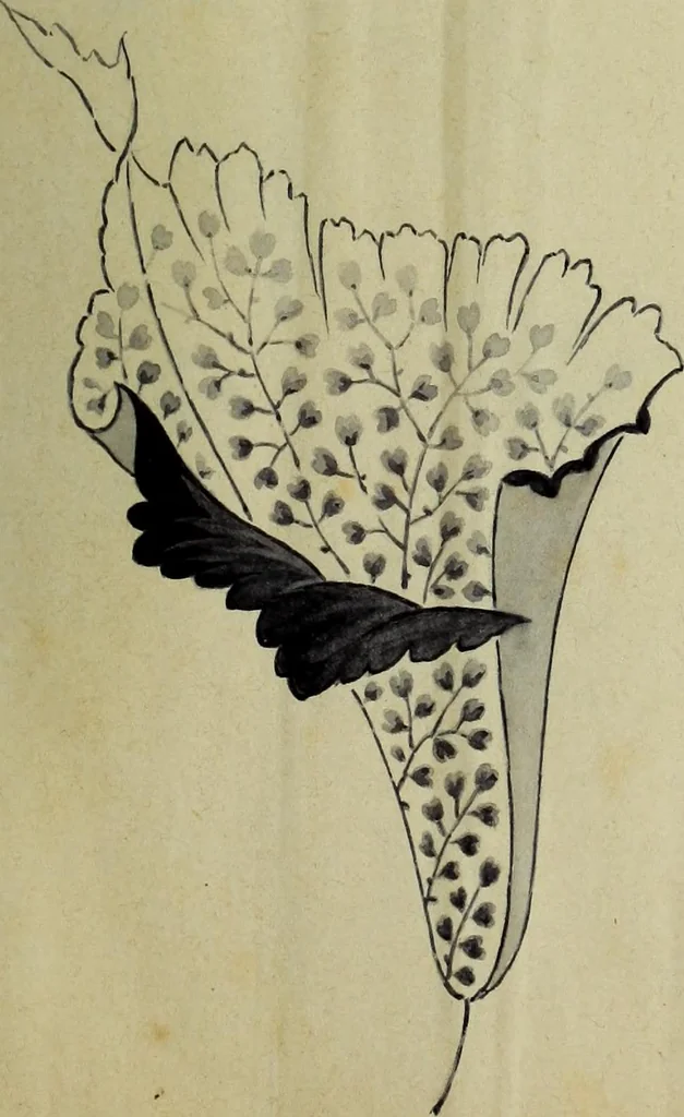 An illustration from [Embroidery and textile designs, 1875, leaf 3