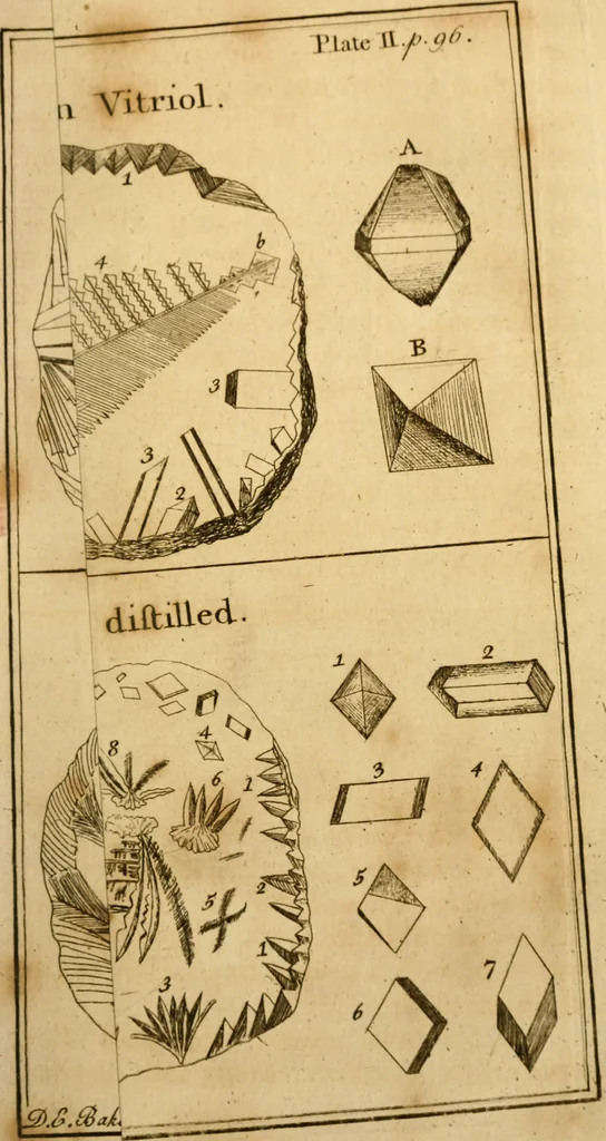 An illustration from Employment for the microscope : in two parts, 1764, leaf 116