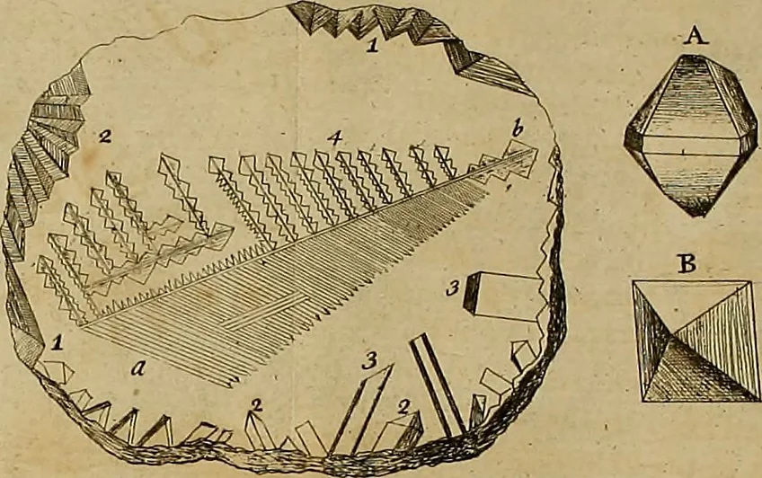 An illustration from Employment for the microscope : in two parts, 1764, leaf 117