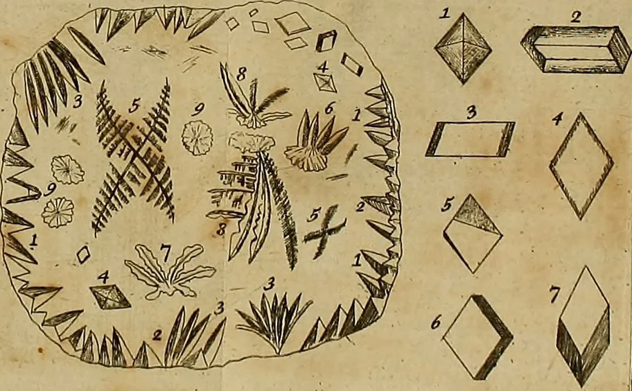 An illustration from Employment for the microscope : in two parts, 1764, leaf 117