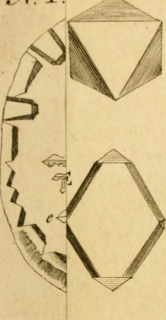 An illustration from Employment for the microscope : in two parts, 1764, leaf 134