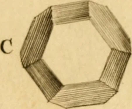 An illustration from Employment for the microscope : in two parts, 1764, leaf 134