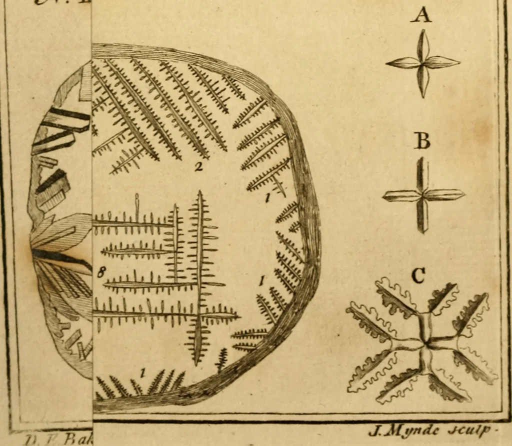 An illustration from Employment for the microscope : in two parts, 1764, leaf 134