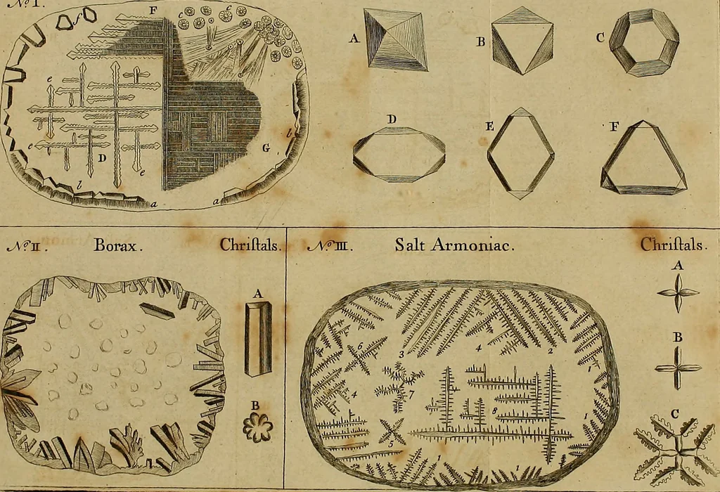 An illustration from Employment for the microscope : in two parts, 1764, leaf 135