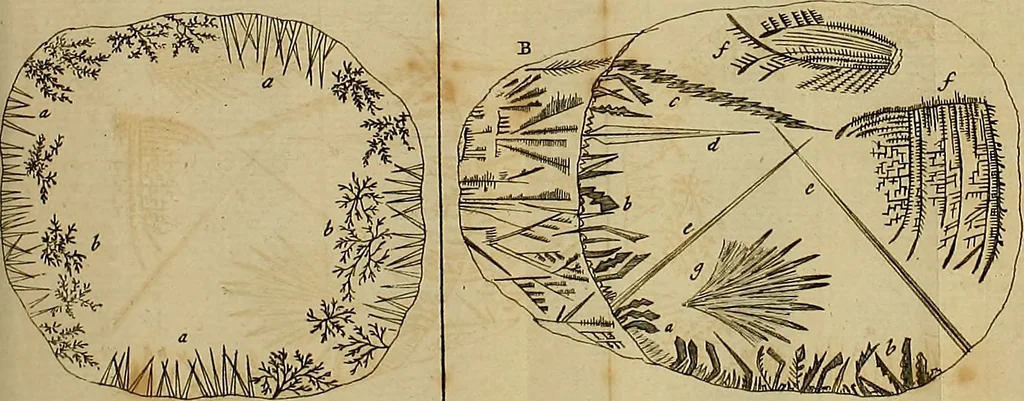An illustration from Employment for the microscope : in two parts, 1764, leaf 153