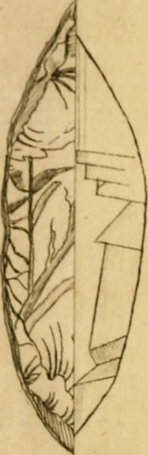 An illustration from Employment for the microscope : in two parts, 1764, leaf 180