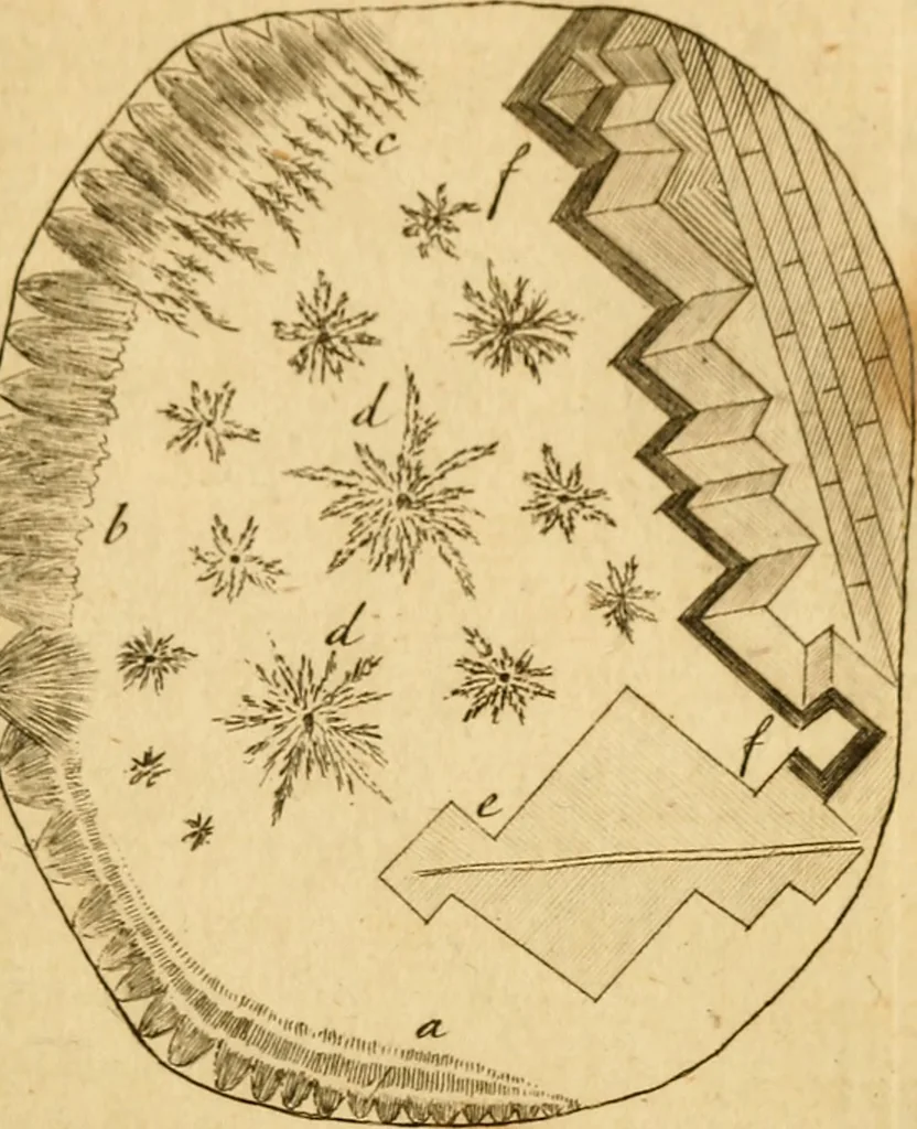 An illustration from Employment for the microscope : in two parts, 1764, leaf 180
