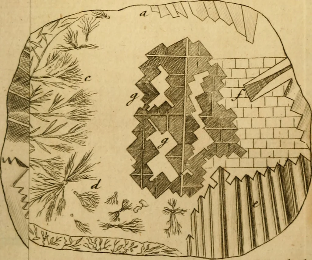 An illustration from Employment for the microscope : in two parts, 1764, leaf 180