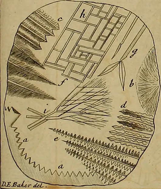An illustration from Employment for the microscope : in two parts, 1764, leaf 181