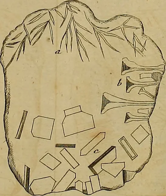An illustration from Employment for the microscope : in two parts, 1764, leaf 181