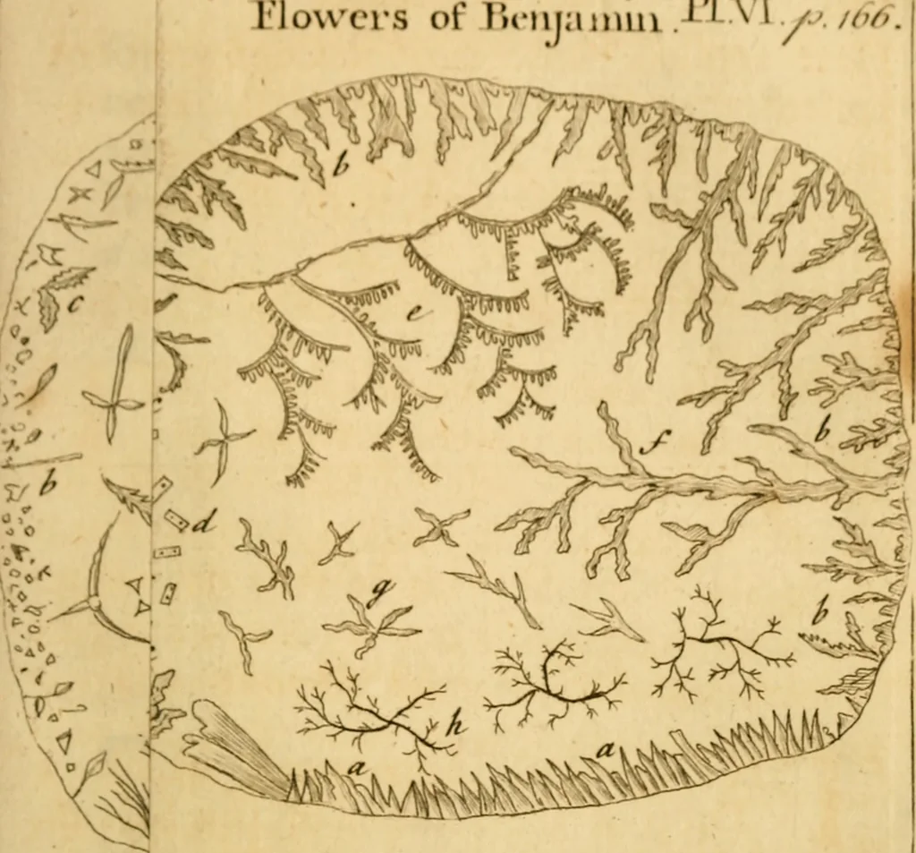 An illustration from Employment for the microscope : in two parts, 1764, leaf 194