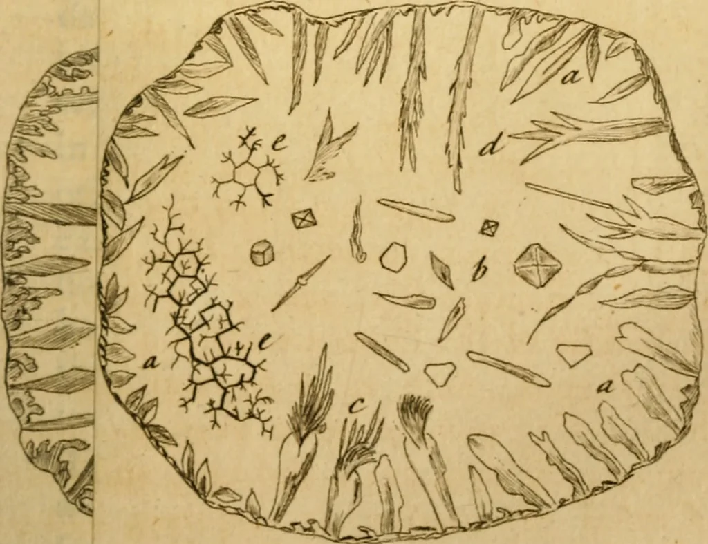 An illustration from Employment for the microscope : in two parts, 1764, leaf 194