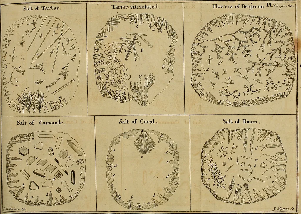 An illustration from Employment for the microscope : in two parts, 1764, leaf 195