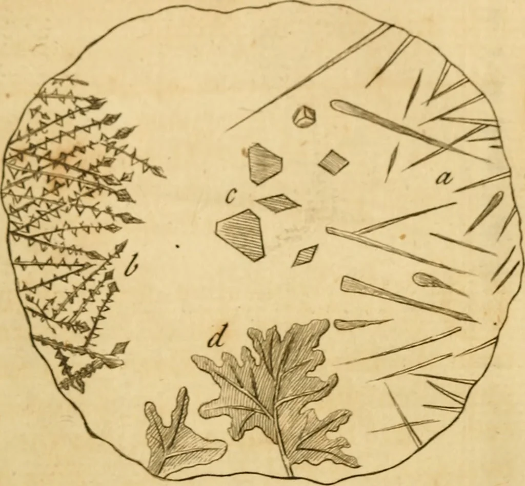 An illustration from Employment for the microscope : in two parts, 1764, leaf 212