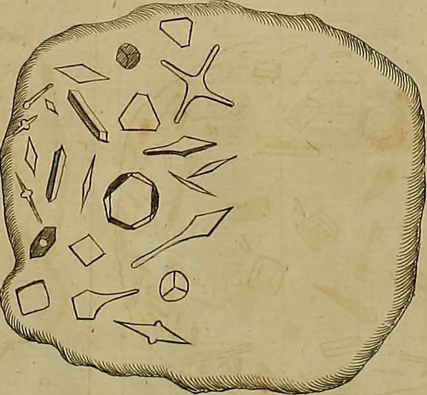 An illustration from Employment for the microscope : in two parts, 1764, leaf 213