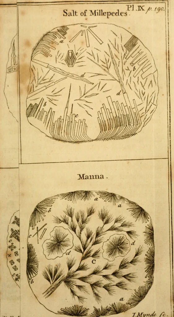 An illustration from Employment for the microscope : in two parts, 1764, leaf 224
