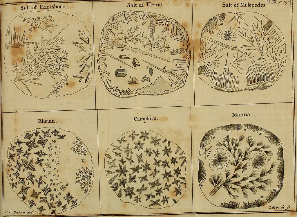 An illustration from Employment for the microscope : in two parts, 1764, leaf 225