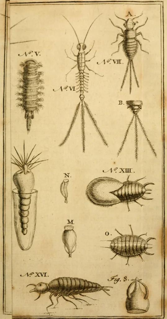 An illustration from Employment for the microscope : in two parts, 1764, leaf 422