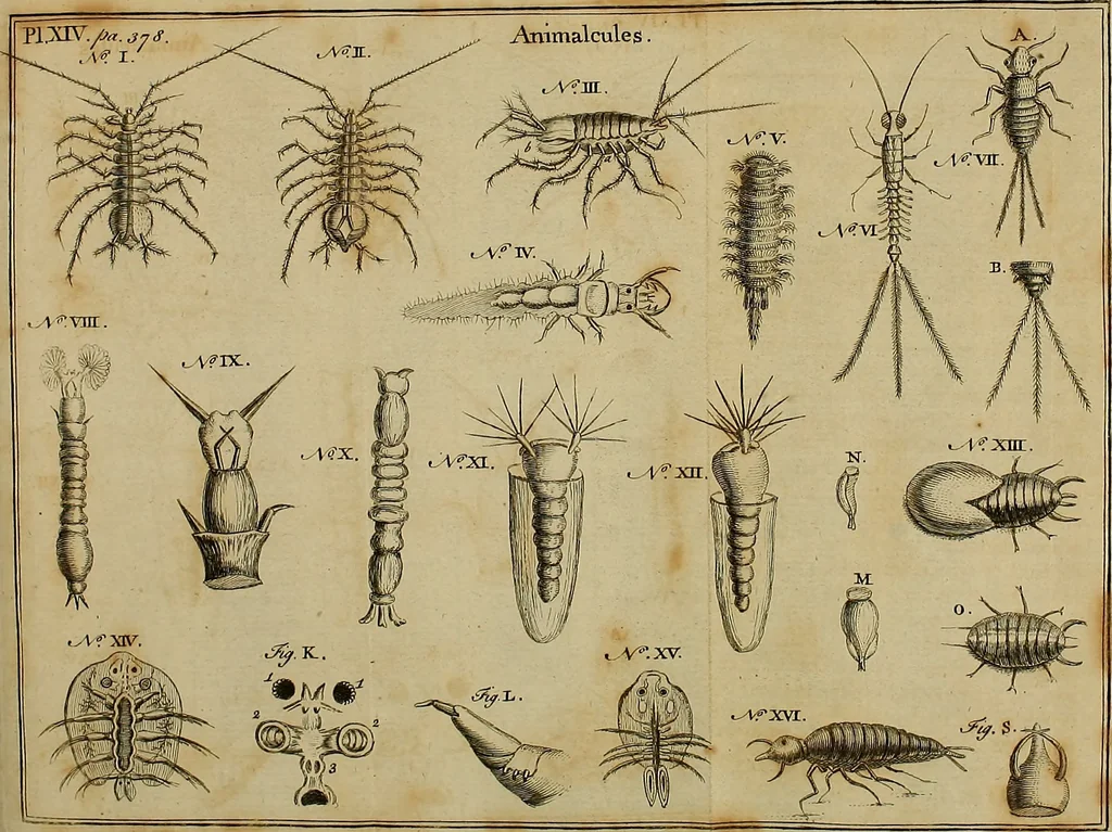 An illustration from Employment for the microscope : in two parts, 1764, leaf 423